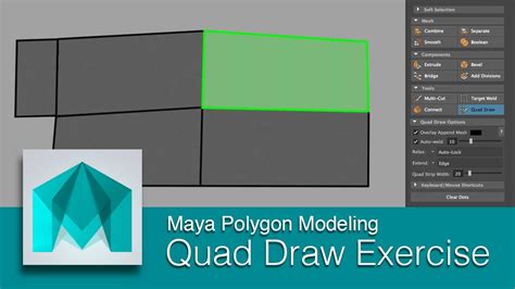 quad draw maya|Understanding Quad Draw .